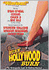 Alan Smithee Film: Burn Hollywood Burn DVD Cover