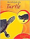 The Life Cycle of a Turtle