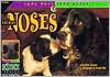 Animal Noses
