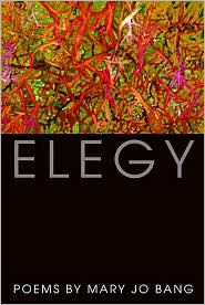 Elegy by Mary Jo Bang: Book Cover