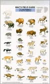 Mac's Field Guide to Land Mammals of North America by Craig MacGowan: Book Cover
