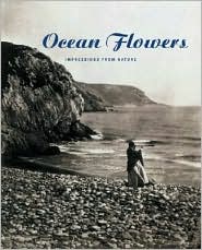Ocean Flowers by Carol Armstrong: Book Cover