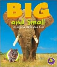 Big and Small: An Animal Opposites Book
