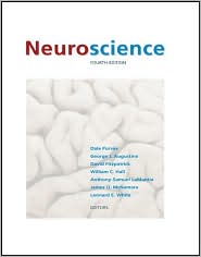 Neuroscience 4e by Dale Purves: Book Cover