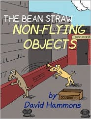 Bean Straw by David Hammons: Book Cover
