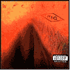 Wrecked by Pig: CD Cover