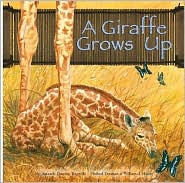 A Giraffe Grows Up
