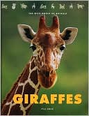 Giraffes