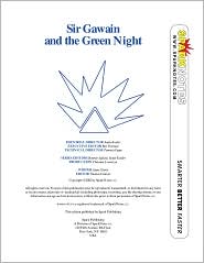 Sir Gawain and the Green Knight (SparkNotes Literature Guide Series) by Anonymous: Download Cover