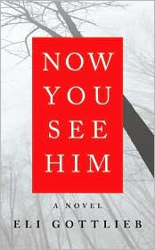 Now You See Him by Eli Gottlieb: Book Cover