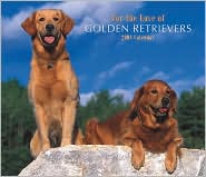 2008 Golden Retrievers Deluxe Wall Calendar