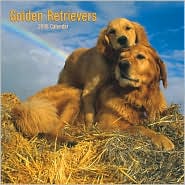 2008 Golden Retrievers Square Wall Calendar