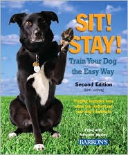 Sit, Stay! Train Your Dog the Easy Way