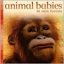 Animal Babies in Rainforests (Animal Babies Series)