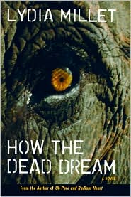 How the Dead Dream by Lydia Millet: Book Cover