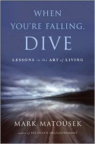 When You're Falling, Dive by Mark Matousek: Book Cover