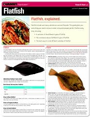 Flatfish (Quamut) by Quamut: Download Cover