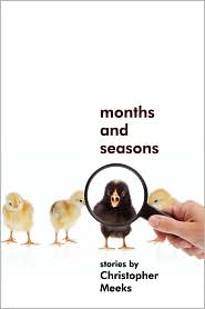Months and Seasons by Christopher Meeks: Book Cover