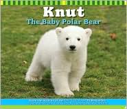 Knut the Baby Polar Bear by Juliana Hatkoff: Book Cover