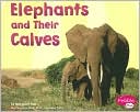 Elephants and Their Calves