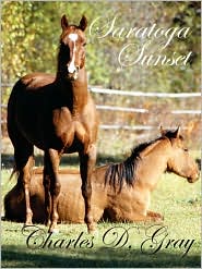 Saratoga Sunset: Book Cover