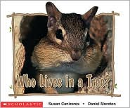 Who Lives in a Tree? by Susan Canizares: Book Cover