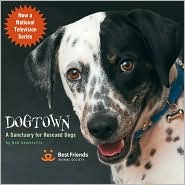 Dogtown: A Sanctuary for Rescued Dogs