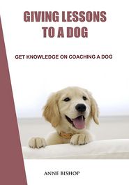 Giving lessons to a dog: Get knowledge on coaching a dog