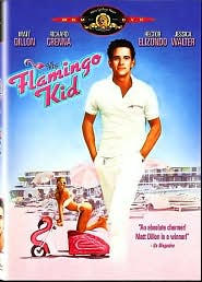 Flamingo Kid with Matt Dillon: DVD Cover