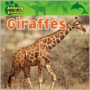 Giraffes