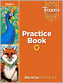 Book Cover Image. Title: Treasures Practice Book Reading: Grade 3, Author: by   MMH Treasures