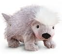 Webkinz Porcupine