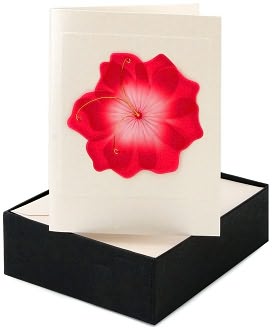 Handmade Boxed Card Red Hibiscus set of 8 by Meri Meri: Product Image