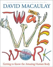 The Way We Work by David Macaulay: Book Cover