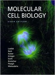Molecular Cell Biology by Harvey Lodish: Book Cover