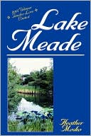 Lake Meade by Heather M Mosko: Book Cover