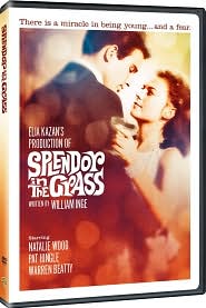 Splendor in the Grass with Natalie Wood: DVD Cover