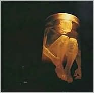 Nothing Safe [Bonus Track] by Alice in Chains: CD Cover