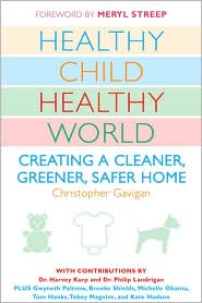 Healthy Child Healthy World by Christopher Gavigan: Book Cover