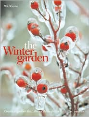 Winter Garden by Val Bourne: Book Cover