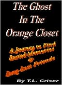The Ghost in the Orange Closet PTSD Facing Wounds you cant see
