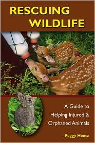 Rescuing Wildlife by Peggy Sue Hentz: Book Cover