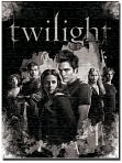 Product Image. Title: Twilight Bella and the Cullens 1000 piece Puzzle