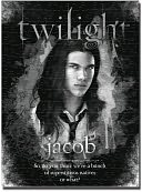  Twilight Barbies, Games, Bookmarks, Pins