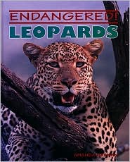 Leopards