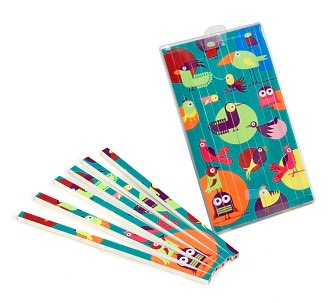 Wacky Birds Colored Pencil Block in Acetate Box Set of 13 by Barnes & Noble: Product Image