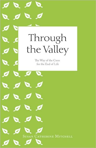 Through the Vally Book Cover
