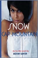 Snow Cap Mountain by Destiny Carter