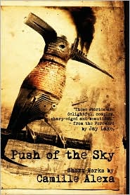 Push Of The Sky by Camille Alexa: Book Cover