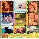 Baby Animals in the Wild: Little Giraffes/Little Zebras/Little Seals/L